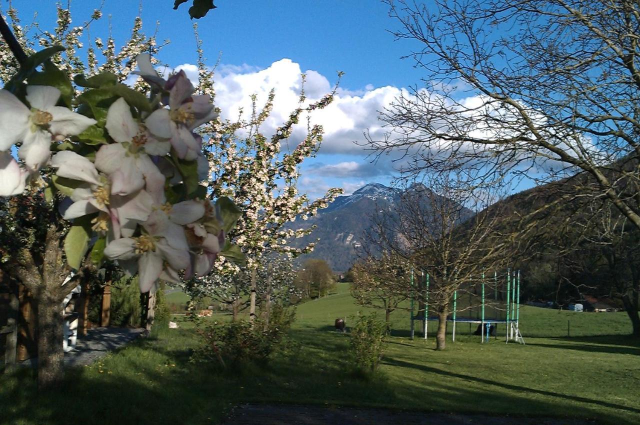 Hoderhof Leilighet Grassau  Eksteriør bilde